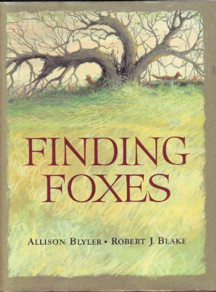 Allison & Blake's Wedding YouTube